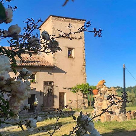 Soulful Holiday Home In Modena Wth Garden Luaran gambar